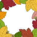 Hand drawn autumn leaf and chestnuts with simple striped pattern on white isolated background.