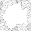 Hand drawn leaves and chestnuts with simple pattern on white isolated background. Floral decorative frame.