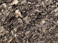 Leaf compost mulch for background