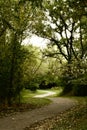 A Leaf-Covered Bicycle Trail in a Minnesota Park Royalty Free Stock Photo