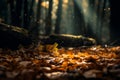 Leaf covered ground with light shining through the trees. Generative AI Royalty Free Stock Photo
