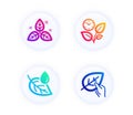 Leaf dew, Fair trade and Leaves icons set. Organic tested sign. Water drop, Leaf, Grow plant. Paraben. Vector Royalty Free Stock Photo