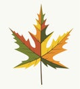 Leaf Different Autumn Color Royalty Free Stock Photo