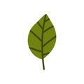 Leaf doodle icon, vector illustration