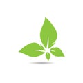 Leaf ecology logo vector icon Royalty Free Stock Photo