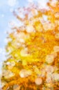 Leaf fall abstract background Royalty Free Stock Photo