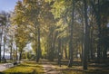 Leaf fall in the city park in autumn with maples. Landscape with maples and other trees. Vintage film aesthetic. Royalty Free Stock Photo