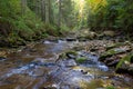 Leaf fall on fast forest mountain river at autumn. Carpathians. Ukraine Royalty Free Stock Photo