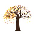 Leaf fall tree. Autumn season. Coloring leaves. Foliage abstract. Nature background. Vector illustration. Stock image. Royalty Free Stock Photo