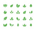 Leaf flat glyph icons. Plant, tree leaves illustrations. Signs of organic food, natural material, bio ingredient, eco