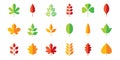 Leaf flat icon set. Vector collection. Tree leaves. Eco logo sign. Red, green, yellow. Spring, summer, autumn element