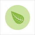 Leaf flat icon Vector