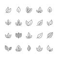 Leaf flat line icons. Plant, tree leaves illustrations. Thin signs of organic food, natural material, bio ingredient