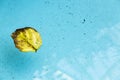 Leaf floating in pool of water Royalty Free Stock Photo