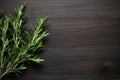 Leaf food herb herbal green ingredient seasoning organic fresh rosemary spice plant Royalty Free Stock Photo