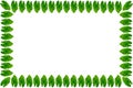 Leaf frame Royalty Free Stock Photo