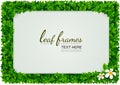 Leaf frames border picture vector