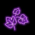 leaf grape green neon glow icon illustration