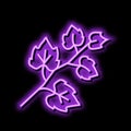 leaf grape neon glow icon illustration