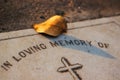 Leaf on a Grave Royalty Free Stock Photo