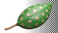 Leaf green dots, dotted leaf, spotted leaf, patterned leaf, leaf pattern, dot leaf png transparent image Generative AI