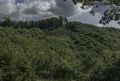 Leaf green forests with mountains near Kysak station in summer hot day Royalty Free Stock Photo