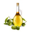Leaf of green olives. Realistic bottle of olive oil branch. Vector illustration Royalty Free Stock Photo