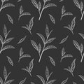 Leaf green tea pattern seamless, vector illustration. Leaves tea tree on black background. Hand drawn sketch in vintage Royalty Free Stock Photo