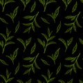 Leaf green tea pattern seamless, vector illustration. Leaves tea tree on black background. Hand drawn sketch in vintage Royalty Free Stock Photo