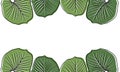 leaf hand drawn illustration background3 Royalty Free Stock Photo