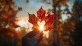 The Leaf with Heart Shape.AI generated image Royalty Free Stock Photo