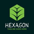 Leaf Hexagon Logo Design Inspiration For Business And Company Royalty Free Stock Photo