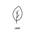 leaf icon. Element of simple web icon with name for mobile concept and web apps. Thin line leaf icon can be used for web and Royalty Free Stock Photo