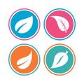 Leaf icon. Fresh natural product symbols. Royalty Free Stock Photo