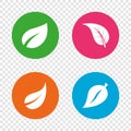 Leaf icon. Fresh natural product symbols. Royalty Free Stock Photo