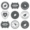 Leaf icon. Fresh natural product symbols Royalty Free Stock Photo