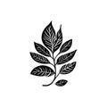 Leaf Icon hand draw black agriculture colour logo symbol perfect Royalty Free Stock Photo