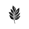 Leaf Icon hand draw black agriculture colour logo symbol perfect Royalty Free Stock Photo