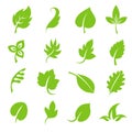 Leaf icon set. Fresh green leaves various shapes on white background Royalty Free Stock Photo