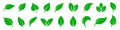 Leaf icon set. Green leaf set. vector Royalty Free Stock Photo