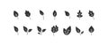 Leaf icon set. Tree leaves, sprout vector