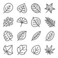 Leaf icon set vector illustration. Contains such icon as Ginko, Leaf, Autumn, leaves, Aloe, Botany and more. Expanded Stroke Royalty Free Stock Photo