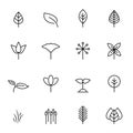 Leaf icon set vector. Nature and symbol concept. Thin line icon theme. White isolated background. Illustration vector Royalty Free Stock Photo