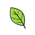 Eco icon green leaf vector illustration Royalty Free Stock Photo