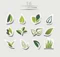 Leaf icons