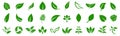 Leaf icons set ecology nature element, green leafs, environment and nature eco sign. Leaves on white background
