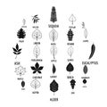 Leaf icons set, simple style