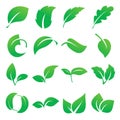 Leaf icons. Vector illustration