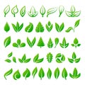 Leaf icons vector illustration. Royalty Free Stock Photo