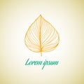 Leaf ideas design vector illustration on background